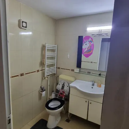 Apartamento Garsoniera Spatioasa