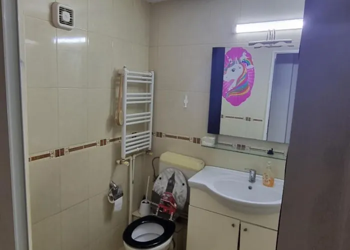 Appartement Garsoniera Spatioasa